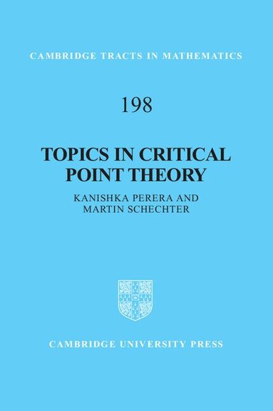 Kanishka Perera, Martin Schechter - Topics in Critical Point Theory, Inbunden