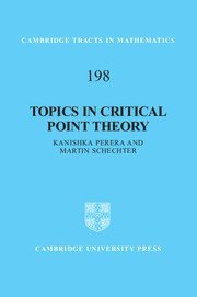 bokomslag Topics in Critical Point Theory