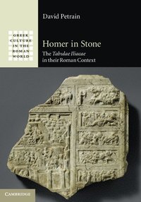 bokomslag Homer in Stone