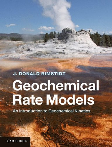 bokomslag Geochemical Rate Models