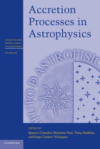 bokomslag Accretion Processes in Astrophysics