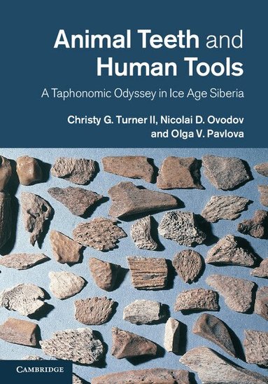 Christy G. Turner II, Nicolai D. Ovodov, Olga V. Pavlova - Animal Teeth and Human Tools, Inbunden