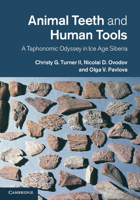 Animal Teeth and Human Tools 1