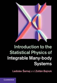 bokomslag Introduction to the Statistical Physics of Integrable Many-body Systems