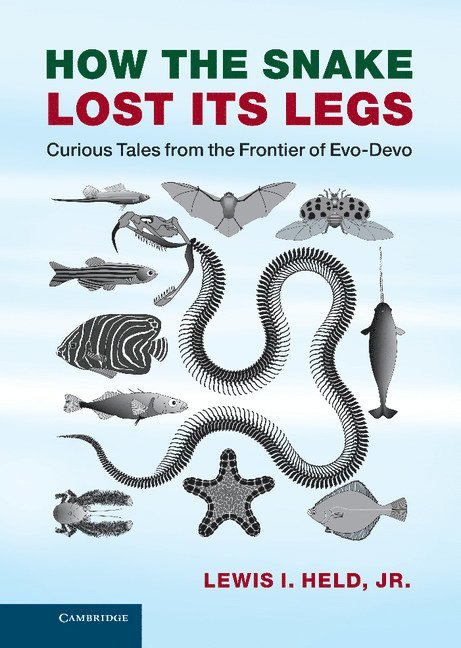 Lewis I. (Texas Tech University) Held, Jr, Lewis Held, Jr. Held, Lewis I., Lewis I. Jr. Held - How the Snake Lost its Legs, Inbunden