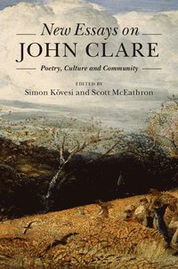 bokomslag New Essays on John Clare