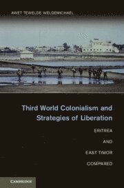 bokomslag Third World Colonialism and Strategies of Liberation