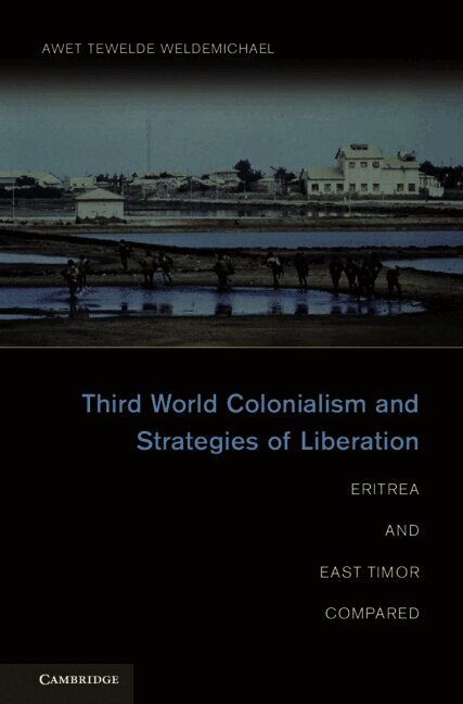 Awet Tewelde Weldemichael - Third World Colonialism and Strategies of Liberation, Inbunden