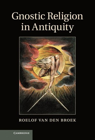 bokomslag Gnostic Religion in Antiquity