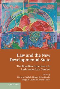 bokomslag Law and the New Developmental State