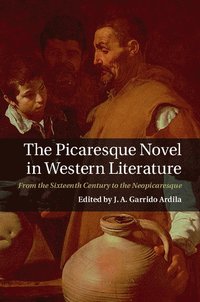 bokomslag The Picaresque Novel in Western Literature