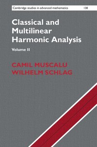 bokomslag Classical and Multilinear Harmonic Analysis