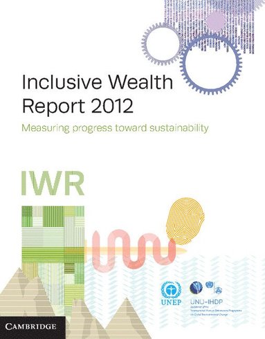 bokomslag Inclusive Wealth Report 2012