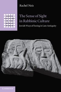 bokomslag The Sense of Sight in Rabbinic Culture