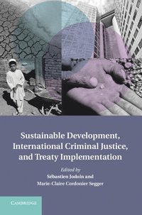 bokomslag Sustainable Development, International Criminal Justice, and Treaty Implementation