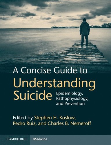 bokomslag A Concise Guide to Understanding Suicide