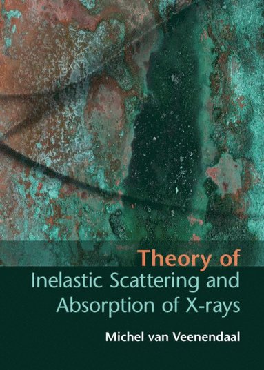 bokomslag Theory of Inelastic Scattering and Absorption of X-rays