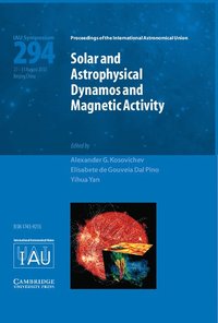 bokomslag Solar and Astrophysical Dynamos and Magnetic Activity (IAU S294)