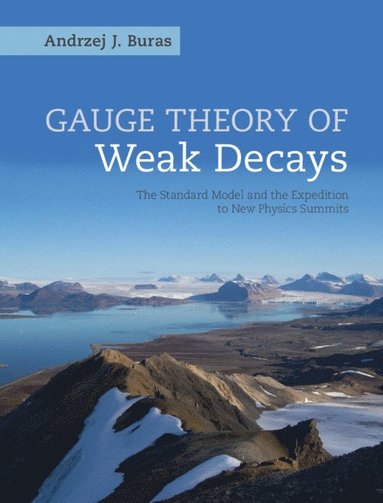 bokomslag Gauge Theory of Weak Decays