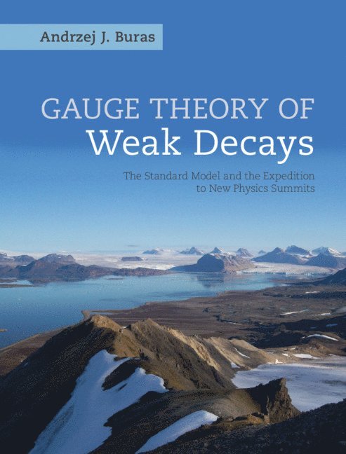 Gauge Theory of Weak Decays 1