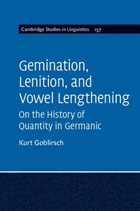 bokomslag Gemination, Lenition, and Vowel Lengthening
