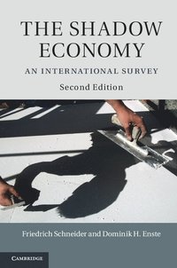 bokomslag The Shadow Economy