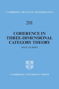 bokomslag Coherence in Three-Dimensional Category Theory