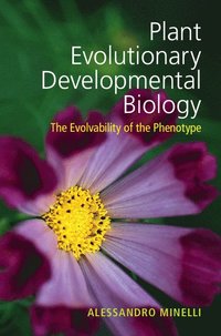 bokomslag Plant Evolutionary Developmental Biology