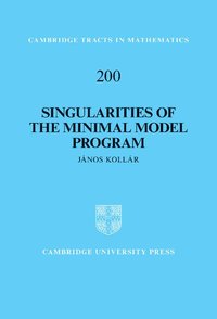bokomslag Singularities of the Minimal Model Program