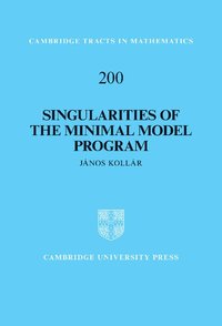 bokomslag Singularities of the Minimal Model Program