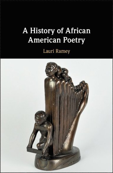 bokomslag A History of African American Poetry