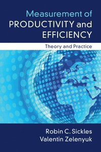 bokomslag Measurement of Productivity and Efficiency