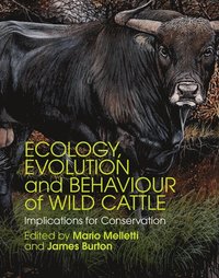 bokomslag Ecology, Evolution and Behaviour of Wild Cattle