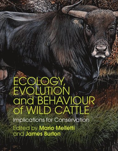 bokomslag Ecology, Evolution and Behaviour of Wild Cattle