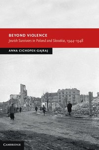 bokomslag Beyond Violence