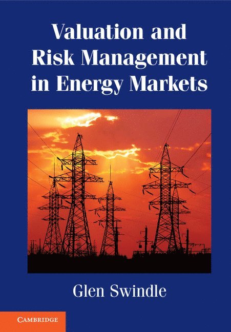 Glen Swindle - Valuation and Risk Management in Energy Markets, Inbunden