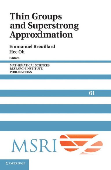 bokomslag Thin Groups and Superstrong Approximation