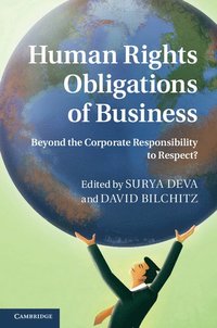 bokomslag Human Rights Obligations of Business