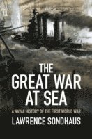 bokomslag The Great War at Sea