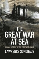 The Great War at Sea
