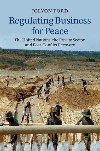 Jolyon Ford - Regulating Business for Peace, Inbunden