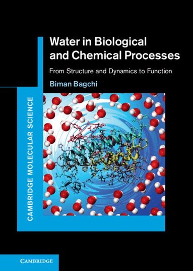 Biman Bagchi - Water in Biological and Chemical Processes, Inbunden