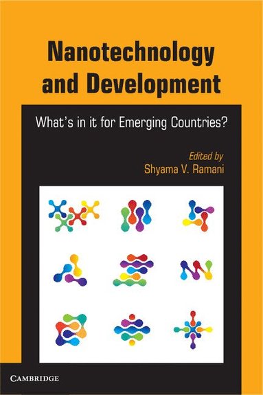Shyama V. Ramani - Nanotechnology and Development, Inbunden