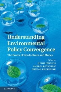 bokomslag Understanding Environmental Policy Convergence