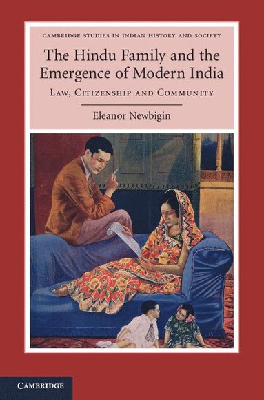 bokomslag The Hindu Family and the Emergence of Modern India