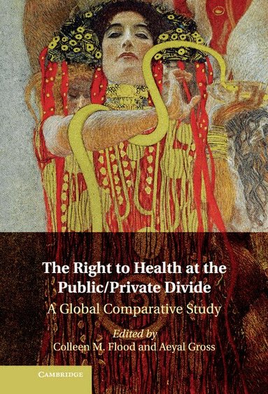 Colleen M. Flood, Aeyal Gross - The Right to Health at the Public/Private Divide, Inbunden
