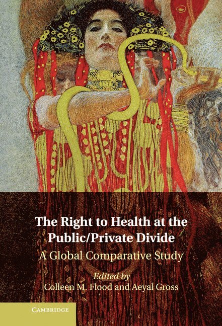 The Right to Health at the Public/Private Divide 1