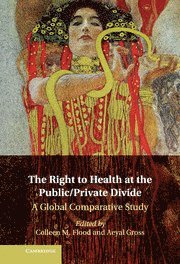 Right to Health at the Public/Private Divide