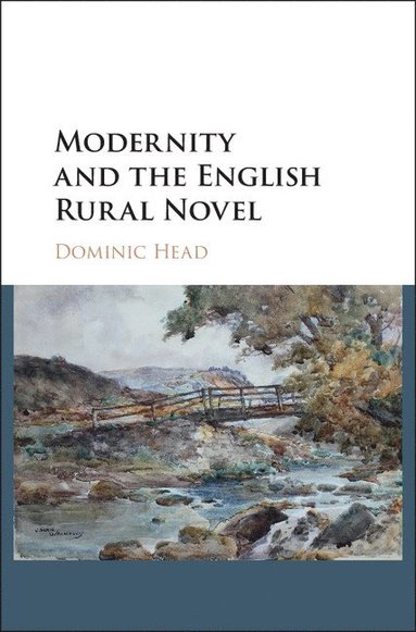 bokomslag Modernity and the English Rural Novel