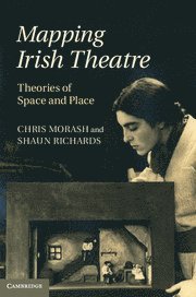 bokomslag Mapping Irish Theatre